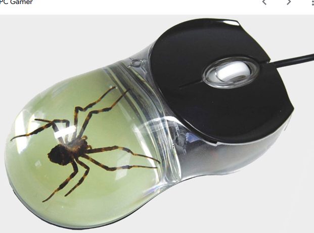 The Unexpected Houseguests: A Cautionary Tale About Spiders and PCs